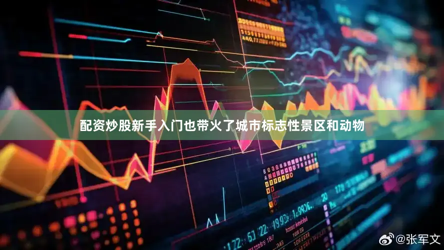 配资炒股新手入门也带火了城市标志性景区和动物