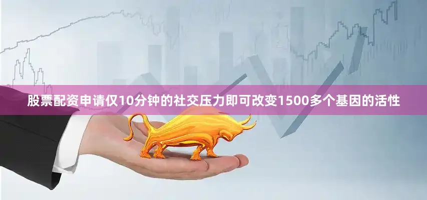 股票配资申请仅10分钟的社交压力即可改变1500多个基因的活性