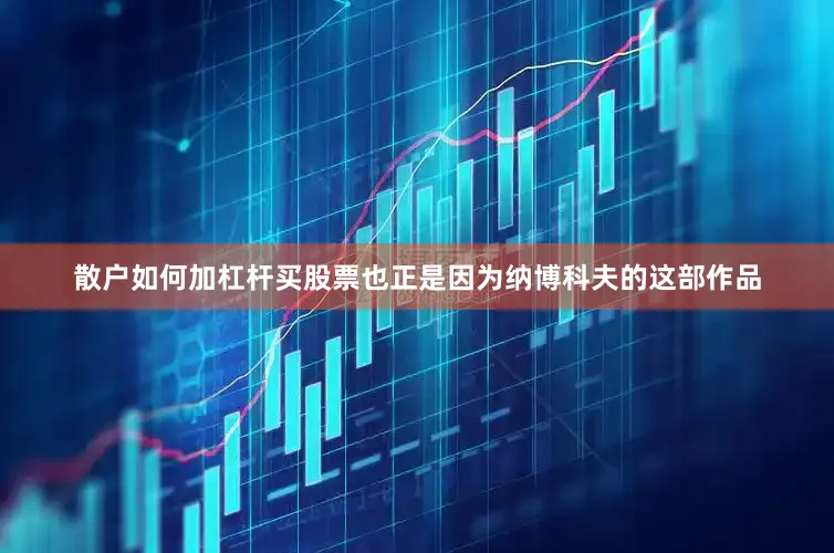 散户如何加杠杆买股票也正是因为纳博科夫的这部作品