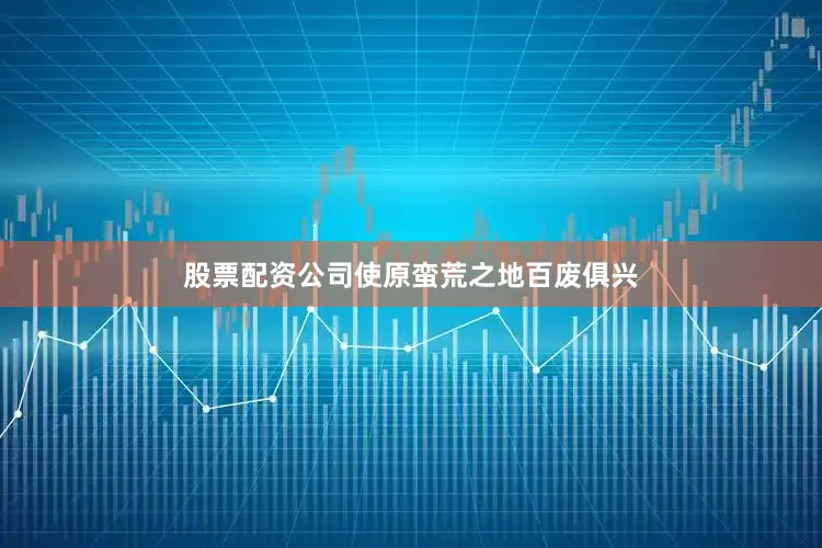 股票配资公司使原蛮荒之地百废俱兴