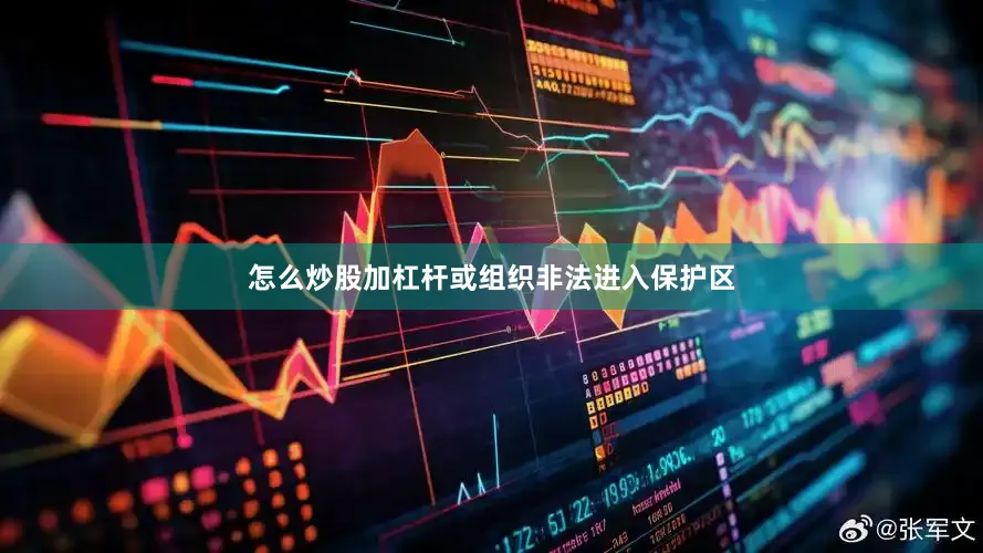 怎么炒股加杠杆或组织非法进入保护区